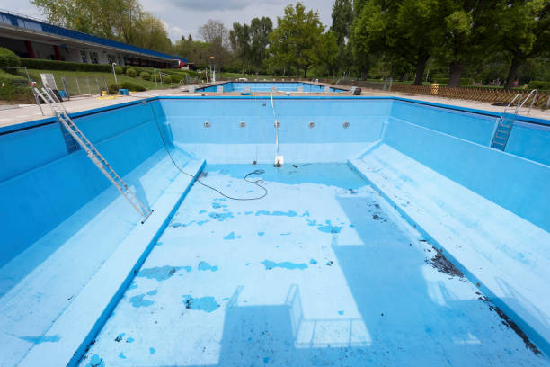 Best Mold removal after water damage  in Dunlap, IL