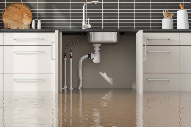  Dunlap, IL Water damage restoration Pros