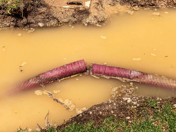 Best 24-hour water damage restoration  in Dunlap, IL